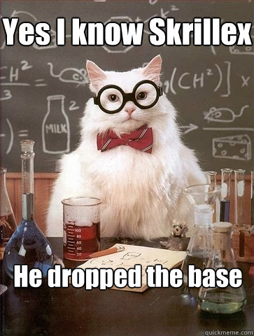 Yes I know Skrillex He dropped the base - Yes I know Skrillex He dropped the base  Chemistry Cat