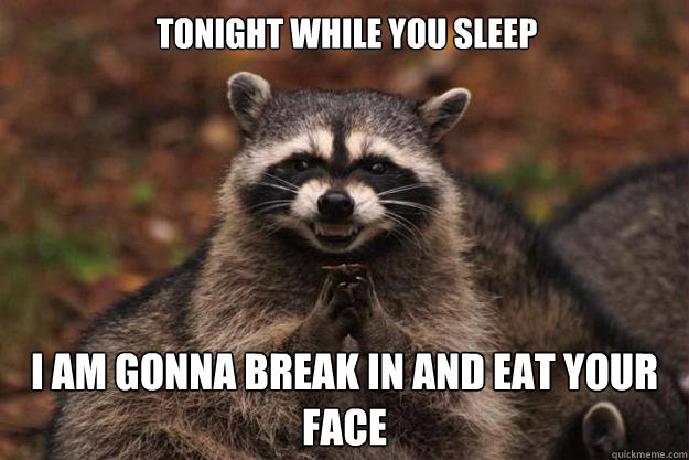 tonight while you sleep I am gonna break in and eat your face - tonight while you sleep I am gonna break in and eat your face  Evil Plotting Raccoon