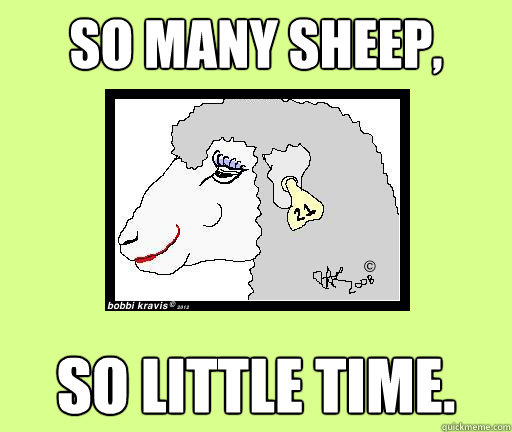 So Many Sheep, So Little Time. - So Many Sheep, So Little Time.  sheila the ruminating sheep