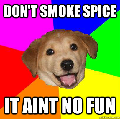 Don't smoke spice it aint no fun  Advice Dog