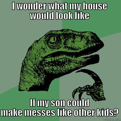 I WONDER WHAT MY HOUSE WOULD LOOK LIKE IF MY SON COULD MAKE MESSES LIKE OTHER KIDS? Philosoraptor