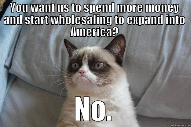 YOU WANT US TO SPEND MORE MONEY AND START WHOLESALING TO EXPAND INTO AMERICA? NO. Grumpy Cat