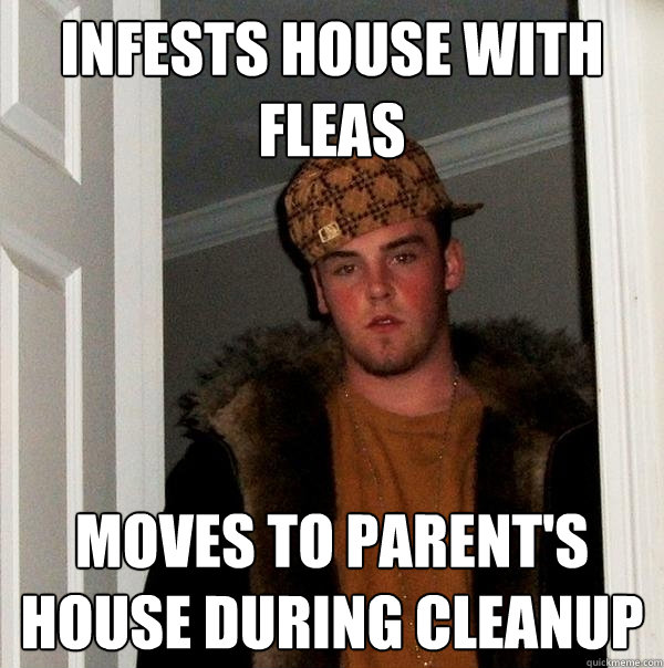 Infests house with fleas Moves to parent's house during cleanup - Infests house with fleas Moves to parent's house during cleanup  Scumbag Steve