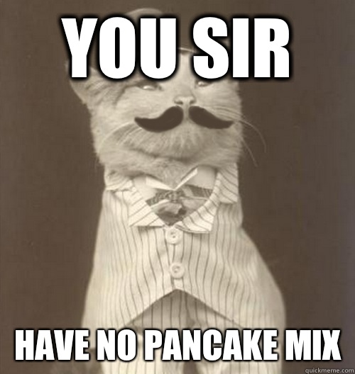 You Sir Have no pancake mix  Original Business Cat