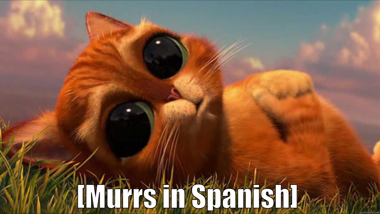  [MURRS IN SPANISH] Misc