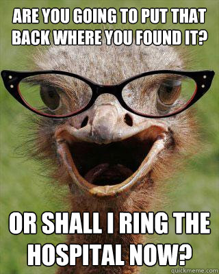 Are you going to put that back where you found it? Or shall I ring the hospital now? - Are you going to put that back where you found it? Or shall I ring the hospital now?  Judgmental Bookseller Ostrich