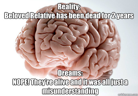 Reality:
Beloved Relative has been dead for 2 years Dreams:
NOPE! They're alive and it was all just a misunderstanding   Scumbag Brain