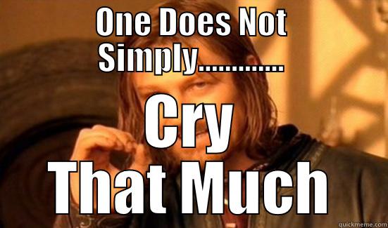 ONE DOES NOT SIMPLY............. CRY THAT MUCH Boromir