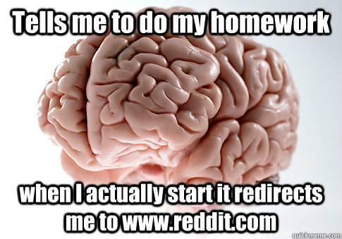 Tells me to do my homework when I actually start it redirects me to www.reddit.com   Scumbag Brain