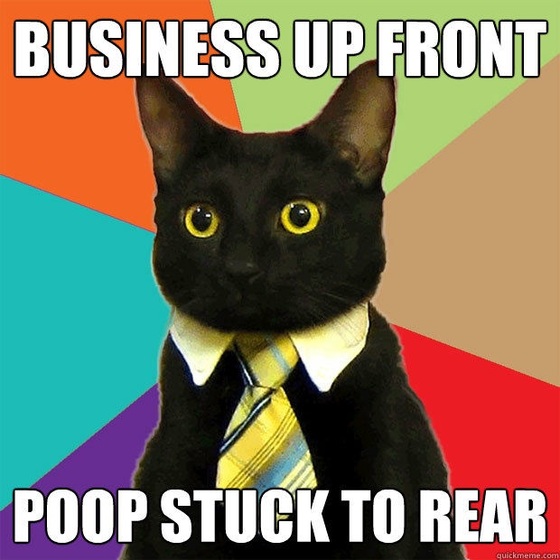 Business up front Poop stuck to rear  Business Cat