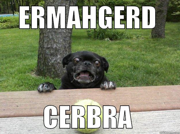 ERMAHGERD CERBRA Berks Dog