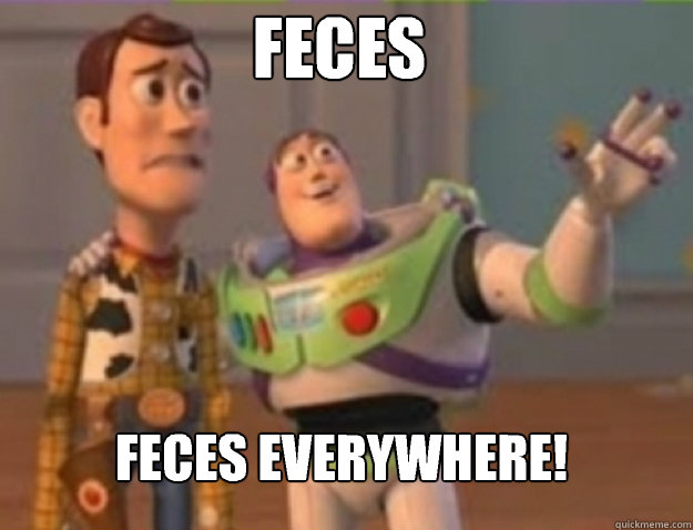 Feces Feces everywhere! - Feces Feces everywhere!  Misc