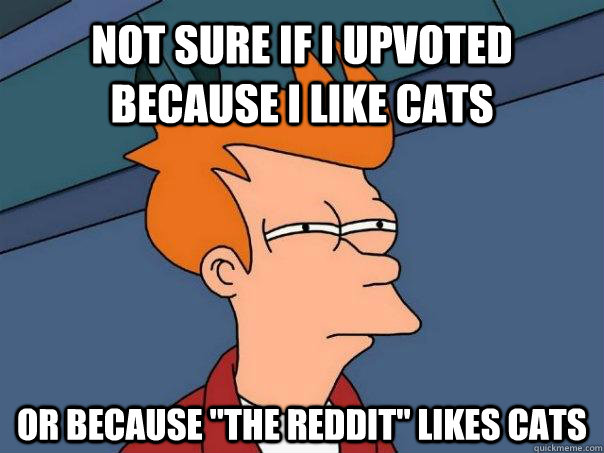 Not Sure if I upvoted because i like cats or because 