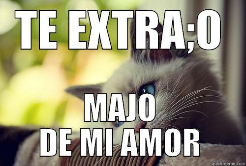 TE AMO - TE EXTRA;O MAJO DE MI AMOR First World Problems Cat