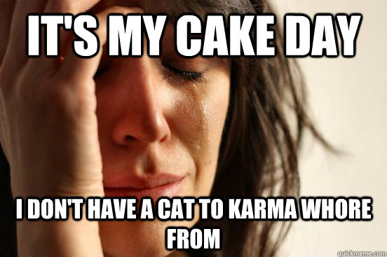 It's my cake day I don't have a cat to karma whore from  First World Problems