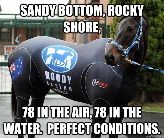 sandy bottom, rocky shore, 78 in the air, 78 in the water.  perfect conditions. - sandy bottom, rocky shore, 78 in the air, 78 in the water.  perfect conditions.  surf horse