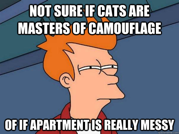 Not sure if cats are masters of camouflage of if apartment is really messy  Futurama Fry