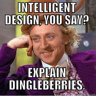 INTELLIGENT DESIGN, YOU SAY? EXPLAIN DINGLEBERRIES. Condescending Wonka