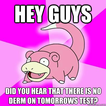 Hey guys did you hear that there is no derm on tomorrows test?  Slowpoke