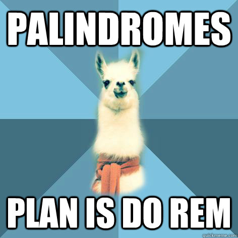 PALINDROMES PLAN IS DO REM  Linguist Llama