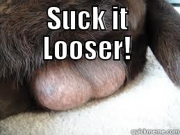 SUCK IT LOOSER!  Misc