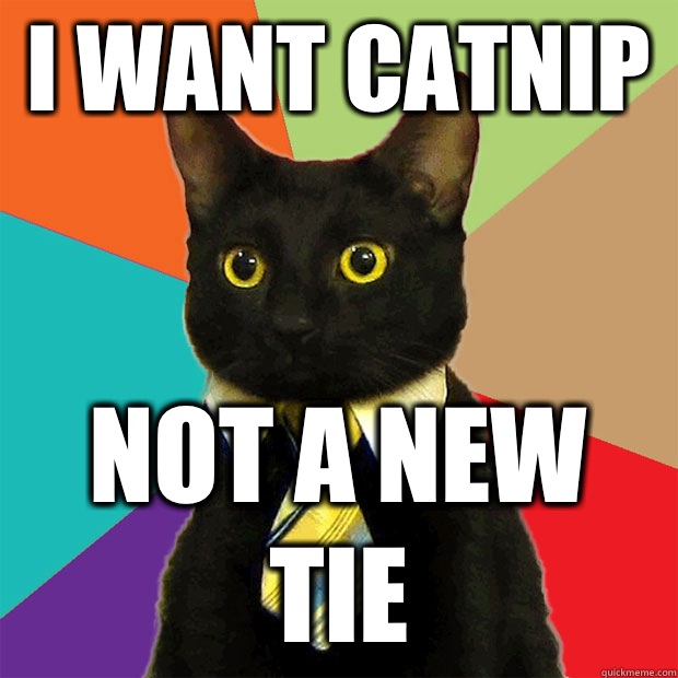 I want catnip Not a new tie  Business Cat