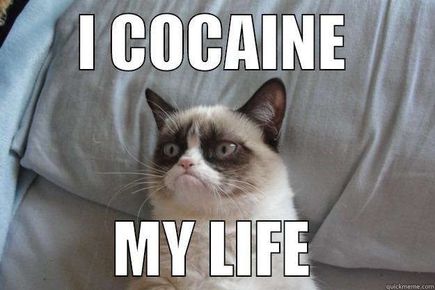 I Drank Coffeeeeeeeeeee - I COCAINE MY LIFE Grumpy Cat