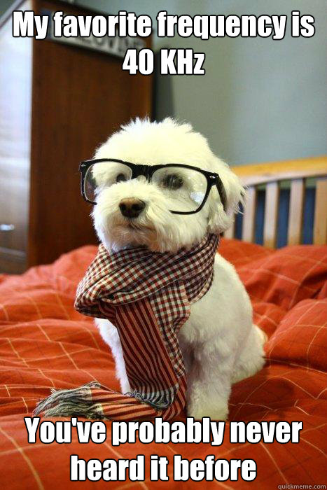 My favorite frequency is 40 KHz You've probably never heard it before  Hipster Dog