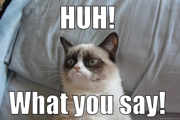 HUH! WHAT YOU SAY! Grumpy Cat