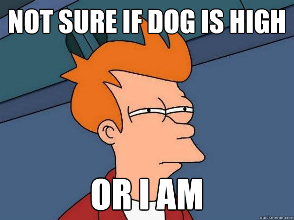 Not sure if dog is high Or I am  Futurama Fry