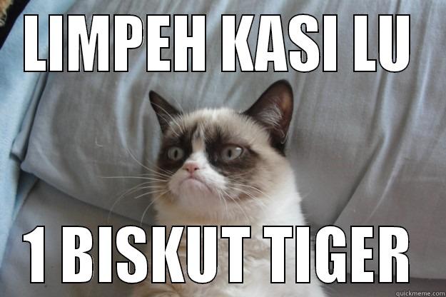 LIMPEH KASI LU 1 BISKUT TIGER Grumpy Cat