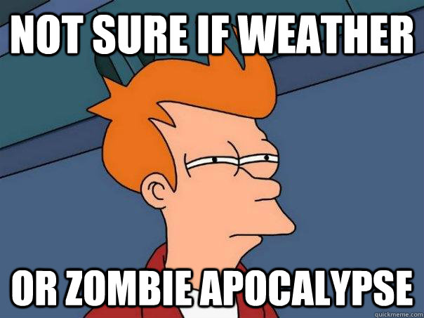 not sure if weather Or zombie apocalypse - not sure if weather Or zombie apocalypse  Futurama Fry