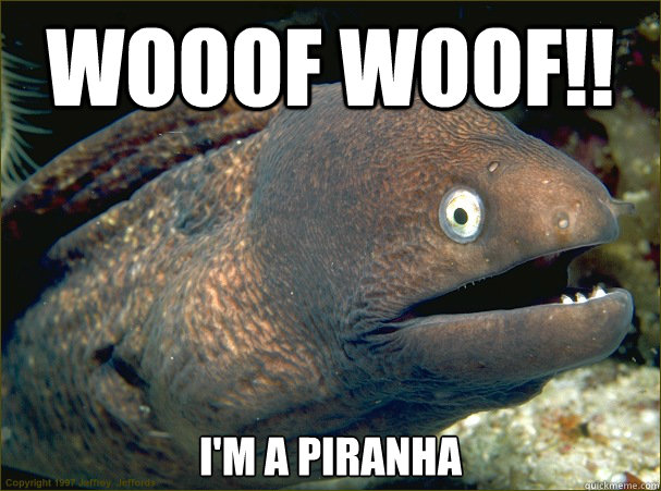 WOOOF WOOF!! i'm a piranha - WOOOF WOOF!! i'm a piranha  Bad Joke Eel