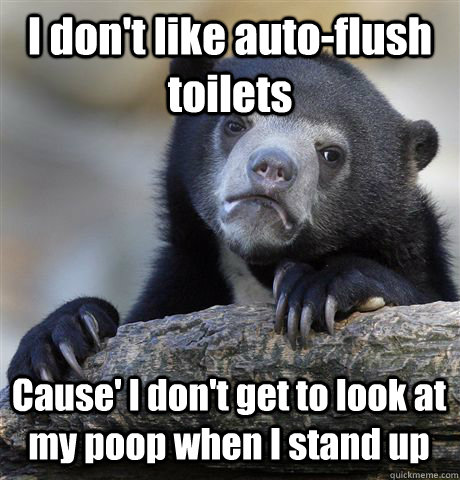 I don't like auto-flush toilets Cause' I don't get to look at my poop when I stand up  Confession Bear