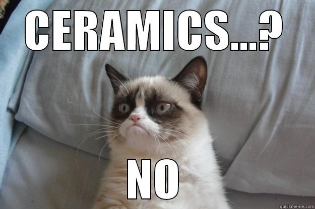 CERAMICS...? NO Grumpy Cat