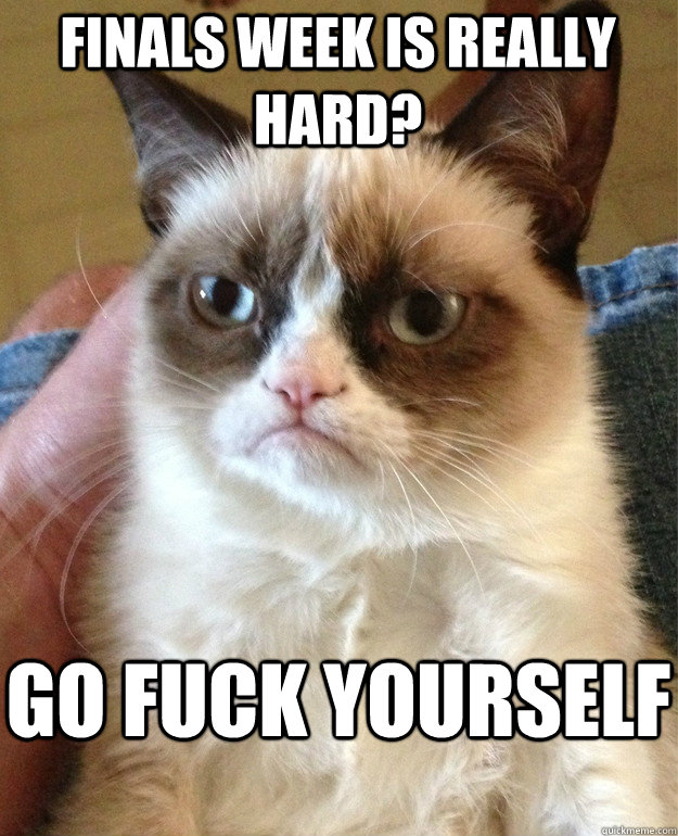 finals week is really hard? go fuck yourself  Grumpy Cat