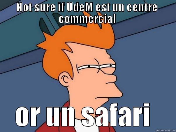 NOT SURE IF UDEM EST UN CENTRE COMMERCIAL OR UN SAFARI  Futurama Fry