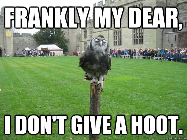 Frankly my dear, I don't give a hoot.  