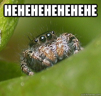 hehehehehehehe   Misunderstood Spider