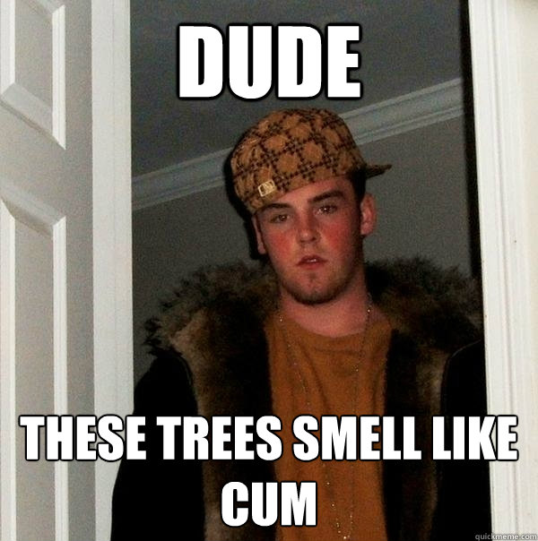 Dude these trees smell like cum  Scumbag Steve