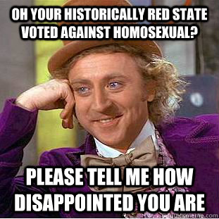 Oh your historically red state voted against homosexual? please tell me how disappointed you are  Condescending Wonka