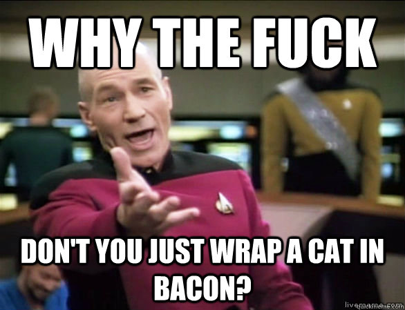 why the fuck don't you just wrap a cat in bacon?  Annoyed Picard HD