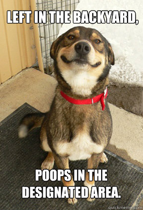 Left in the backyard, poops in the designated area. - Left in the backyard, poops in the designated area.  Good Dog Greg