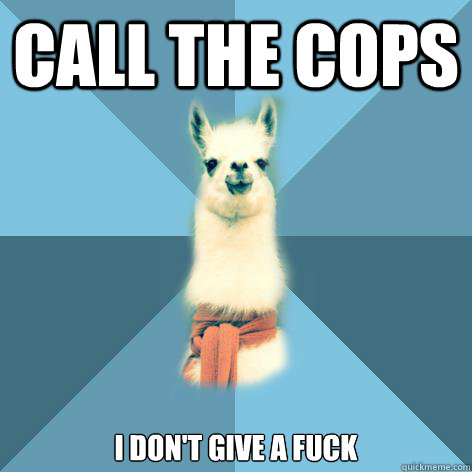 Call the cops I DON'T GIVE A FUCK  Linguist Llama