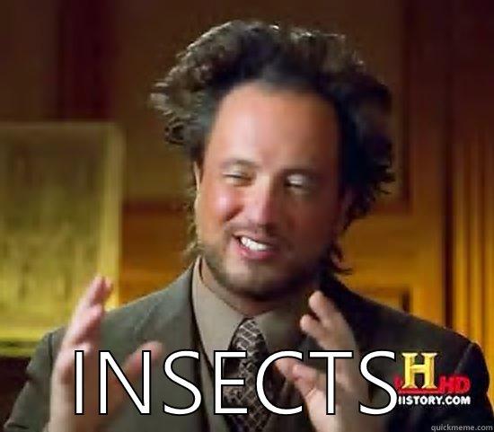  INSECTS Ancient Aliens