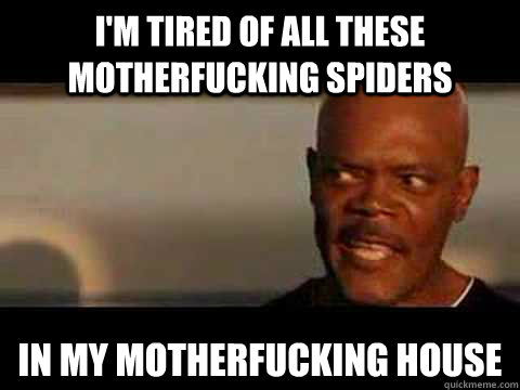 i'm tired of all these motherfucking spiders in my motherfucking house - i'm tired of all these motherfucking spiders in my motherfucking house  Misc