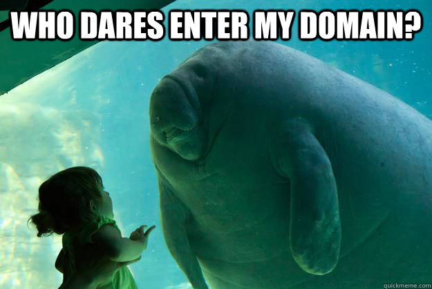 who dares enter my domain?   Overlord Manatee