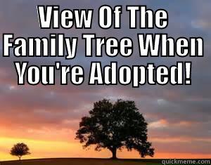 VIEW OF THE FAMILY TREE WHEN YOU'RE ADOPTED!  Misc