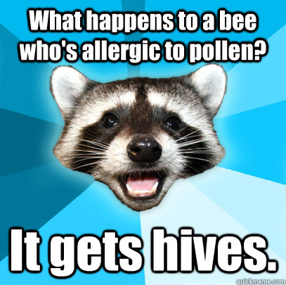 What happens to a bee who's allergic to pollen? It gets hives. - What happens to a bee who's allergic to pollen? It gets hives.  Lame Pun Coon