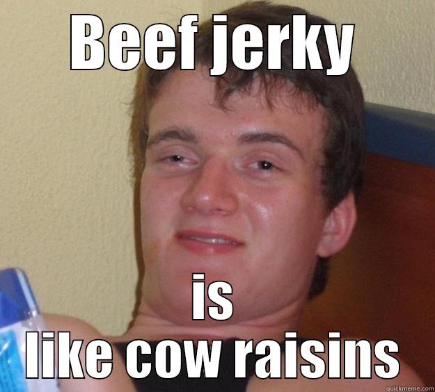 BEEF JERKY IS LIKE COW RAISINS 10 Guy